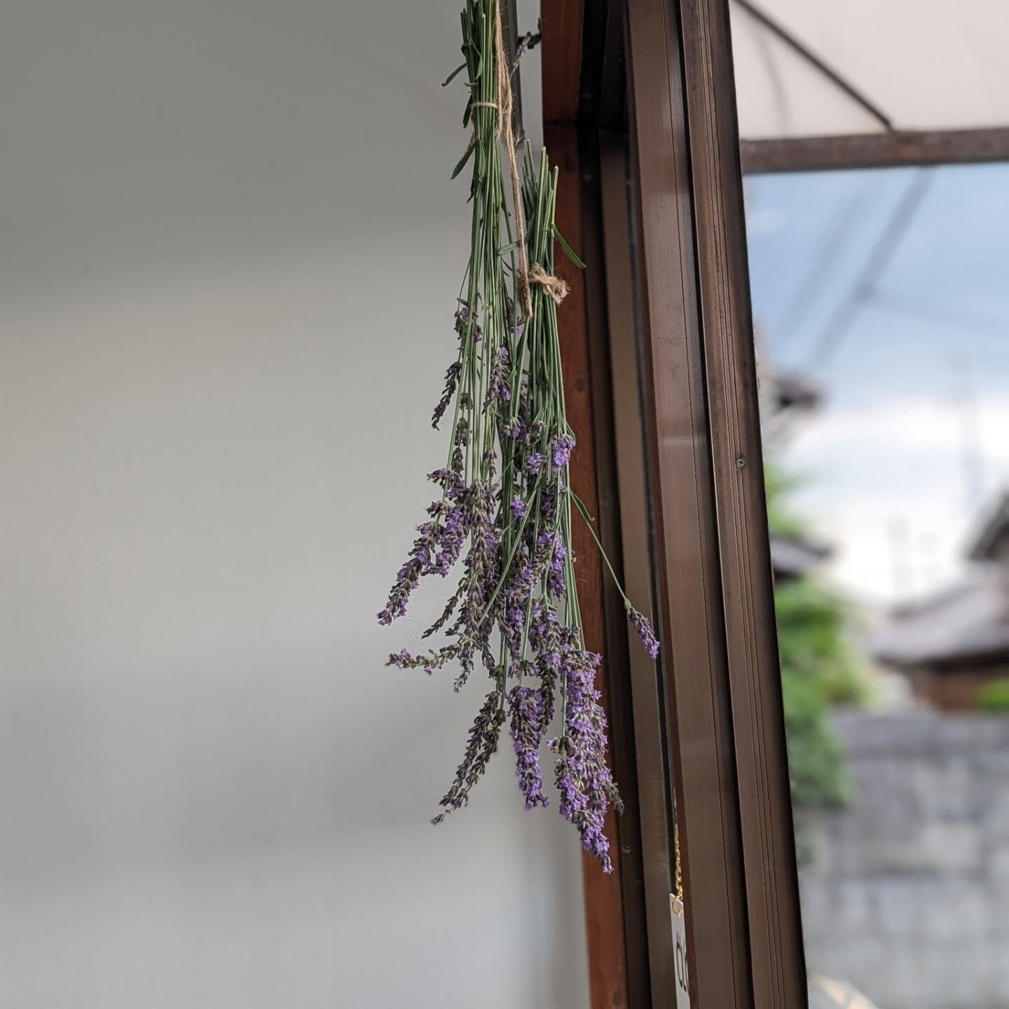 ラベンダーも良い感じです