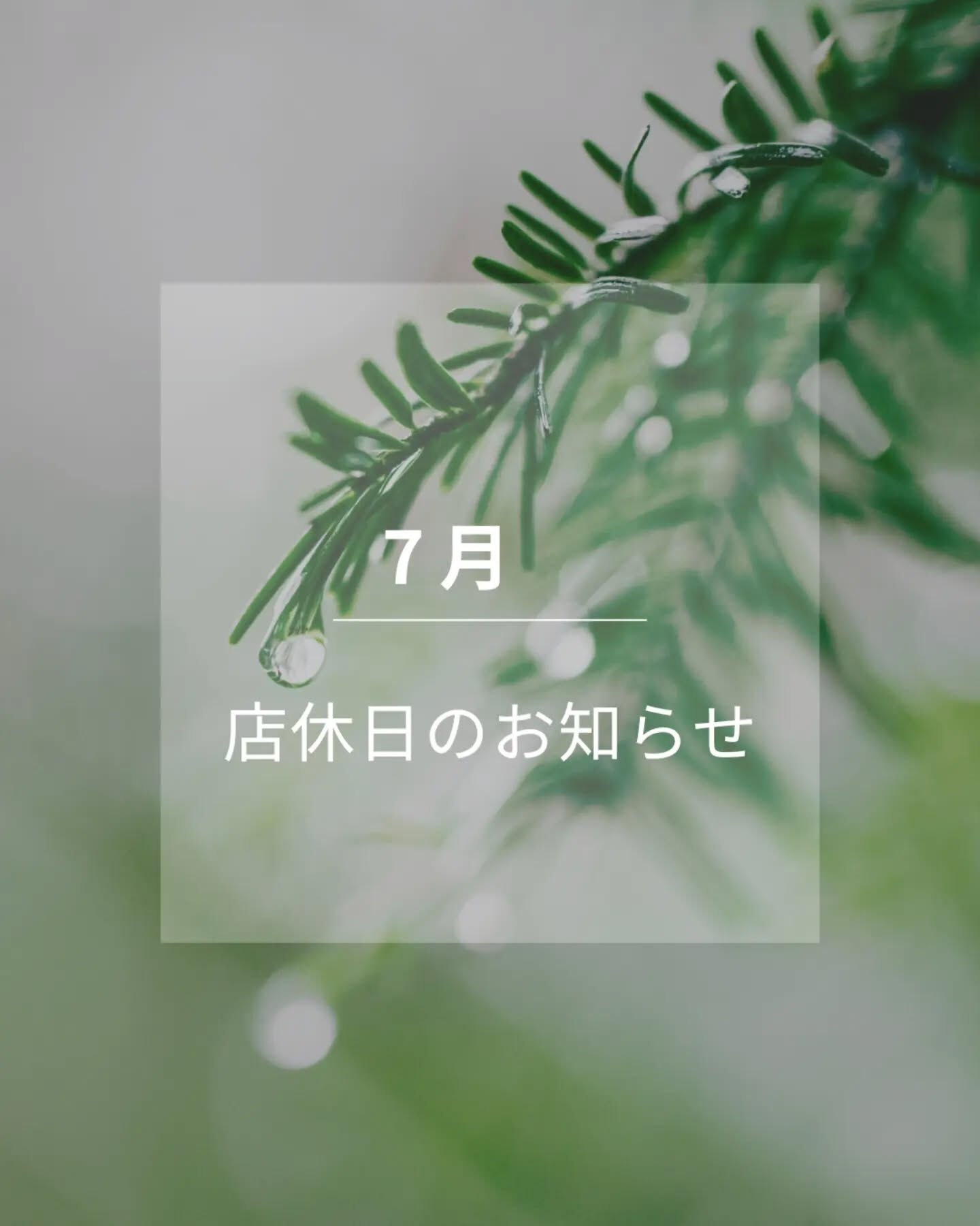 7月 始まりましたね😊