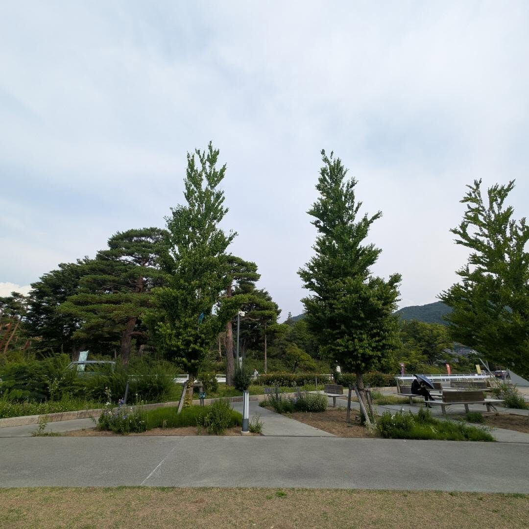 multi_image