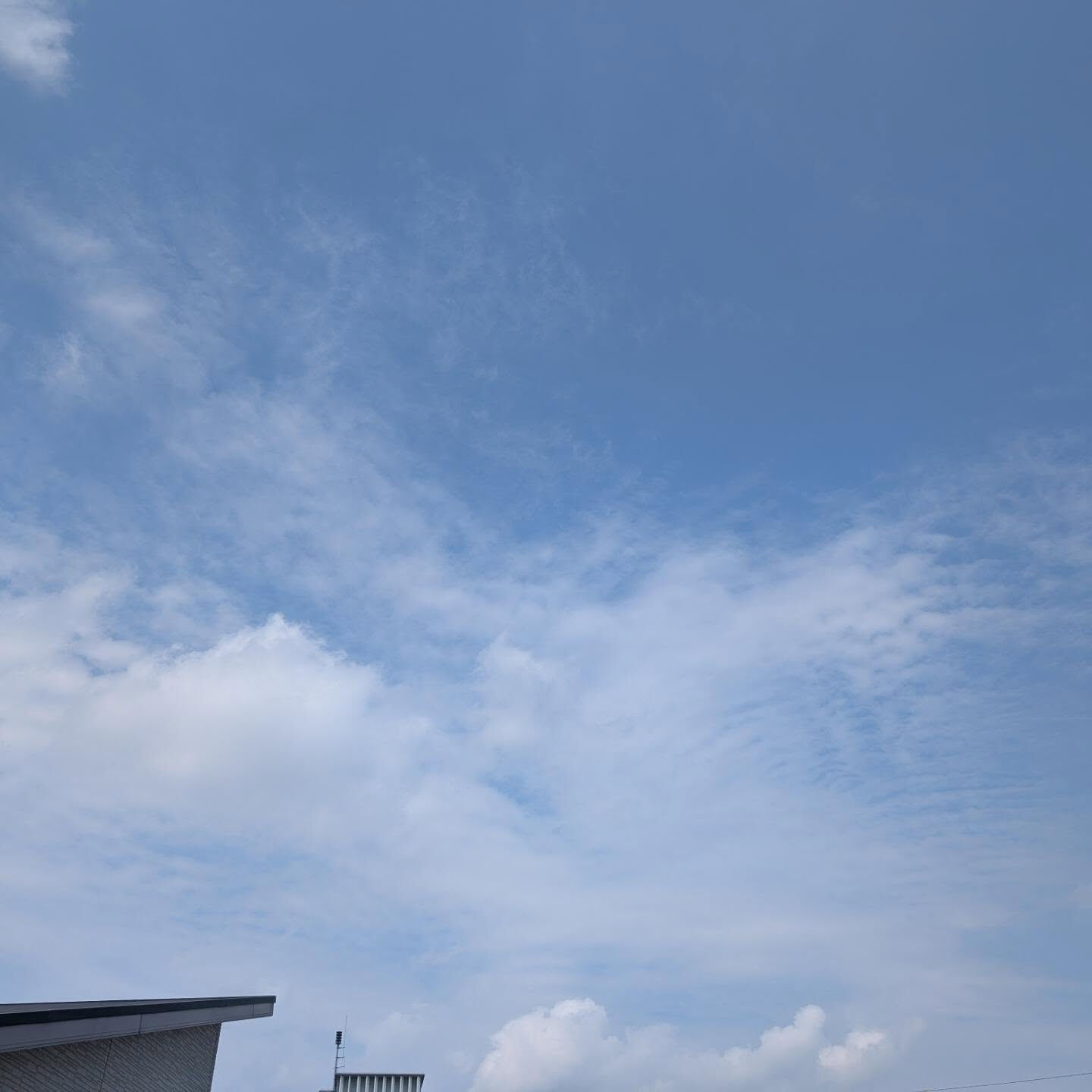 夏本番
