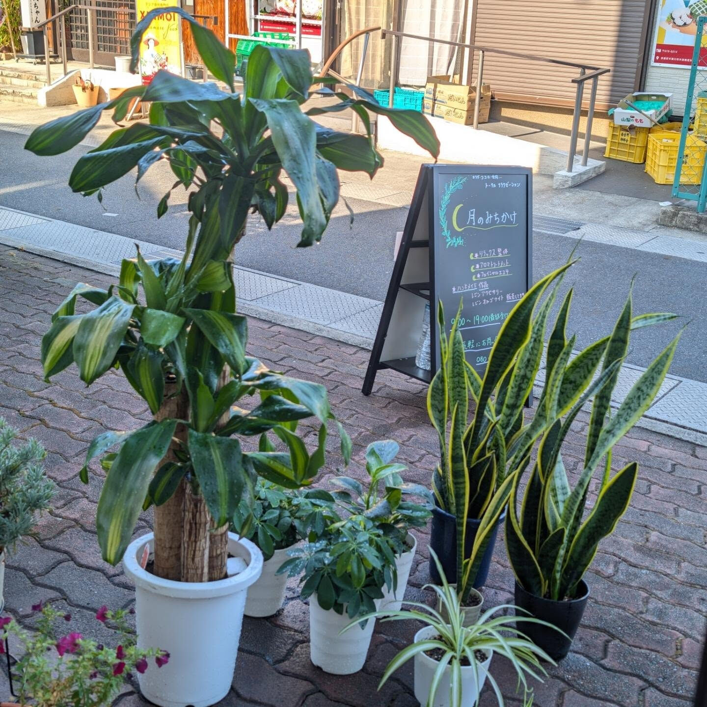 週に一度は