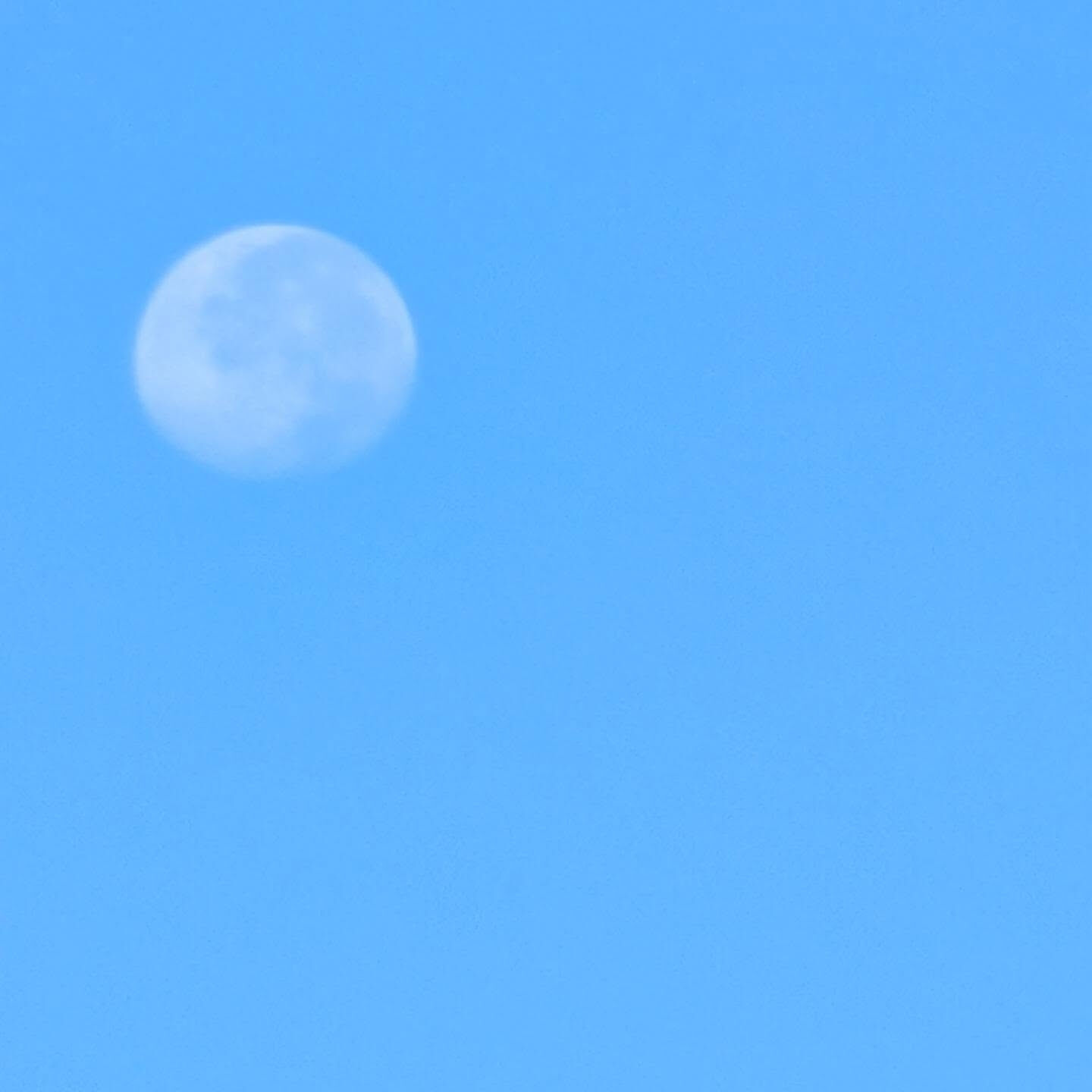 8月31日の朝の月