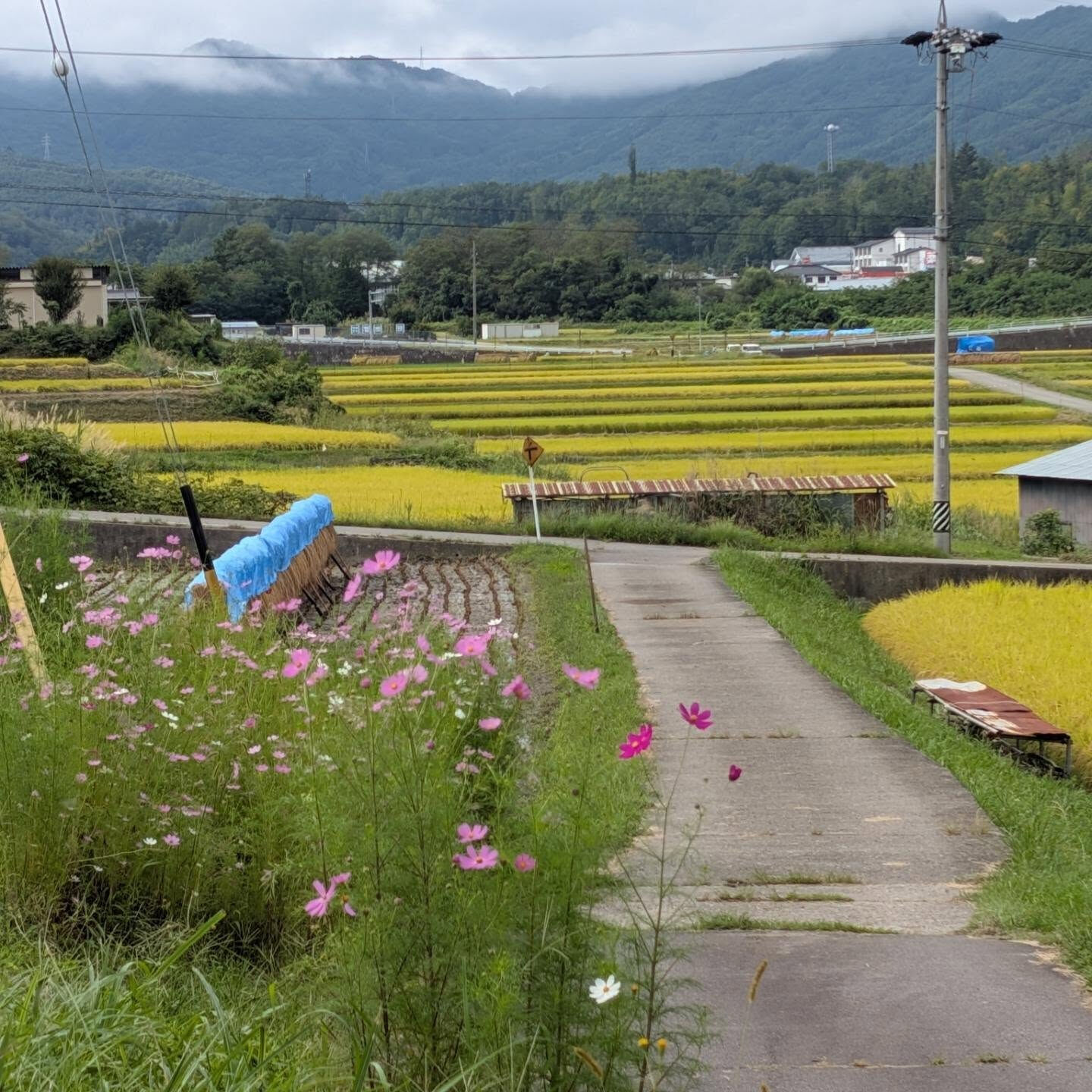 長野県