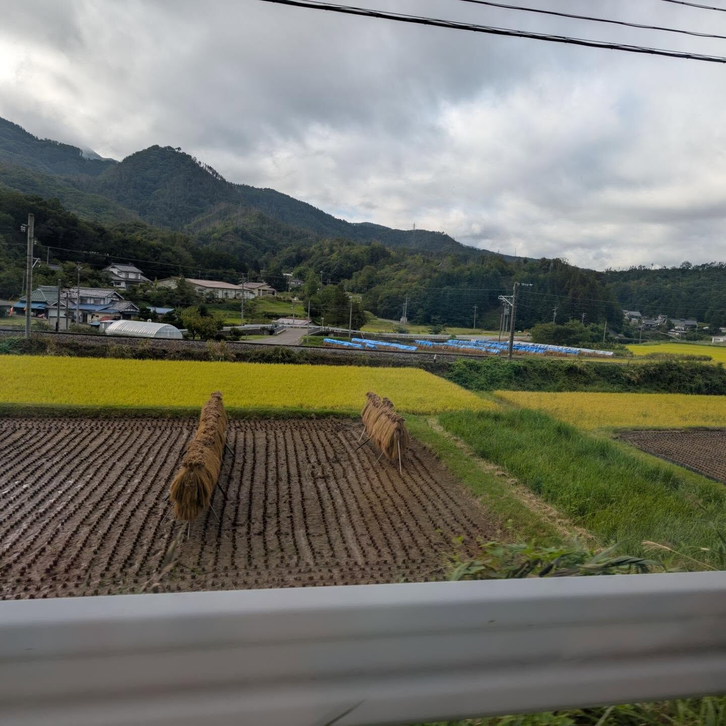長野県
