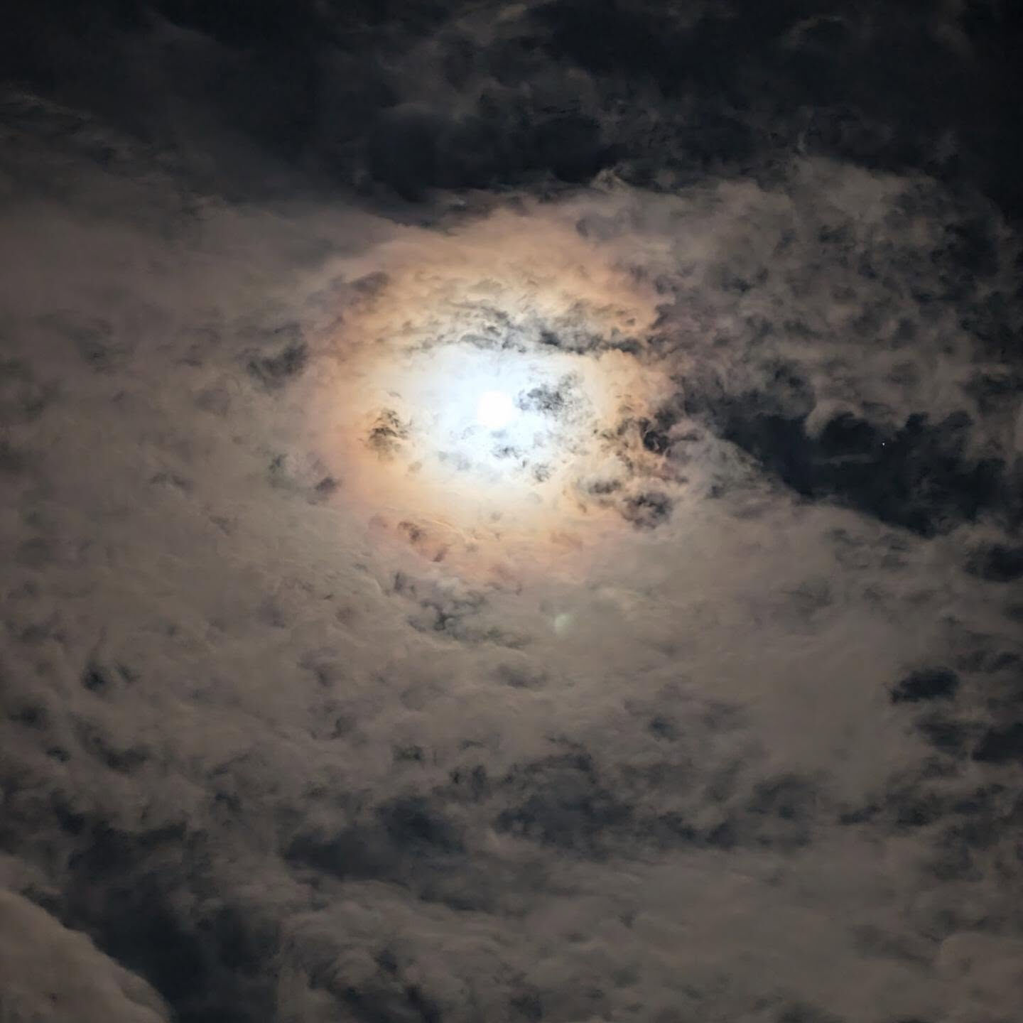 9月23日 夜