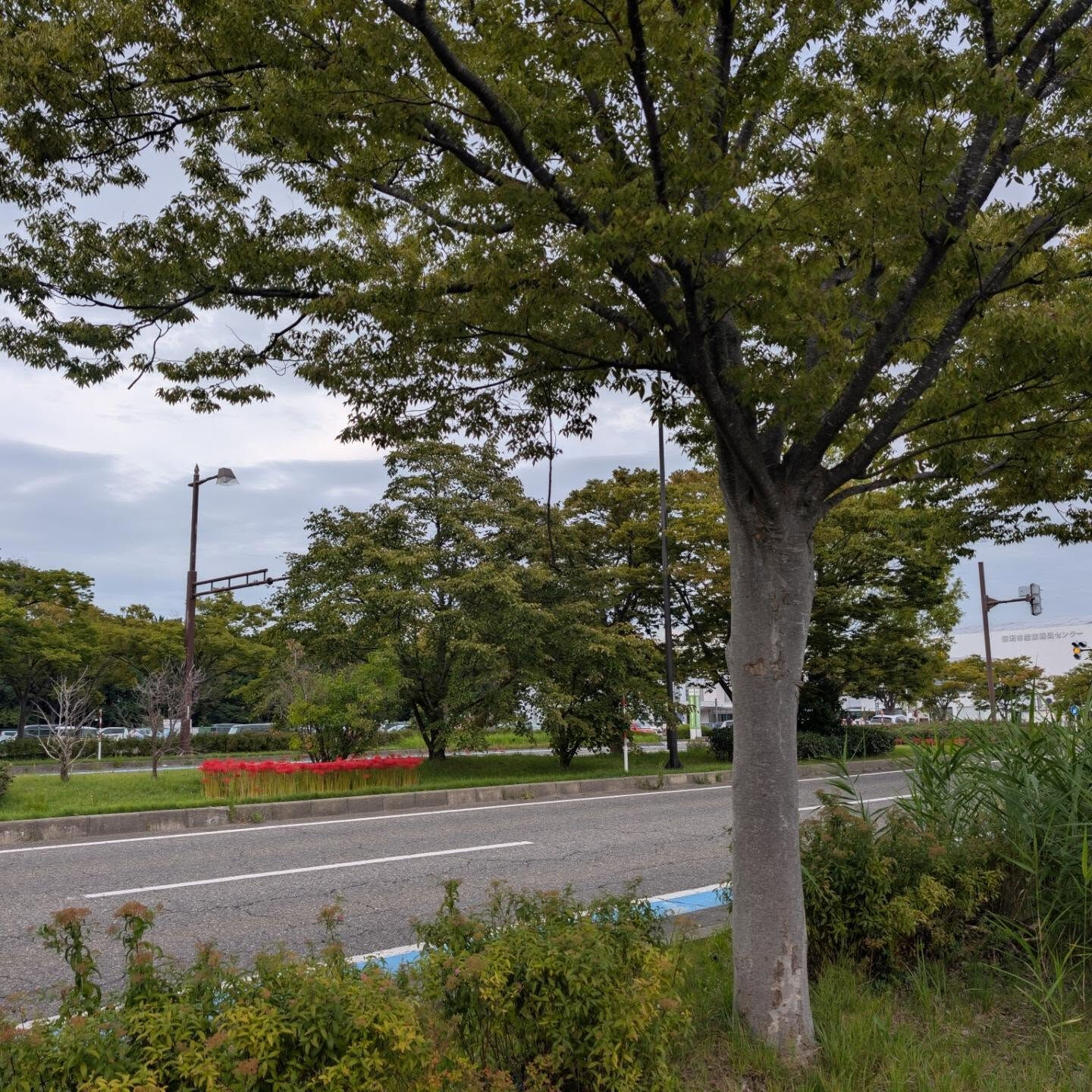 新潟手しごとマーケット