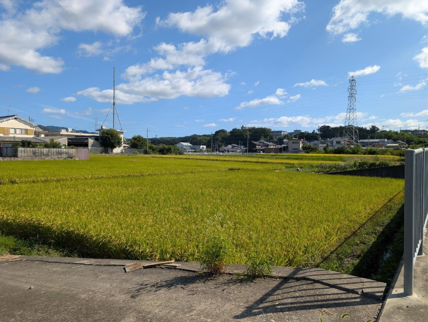 木津川市　実りの季節