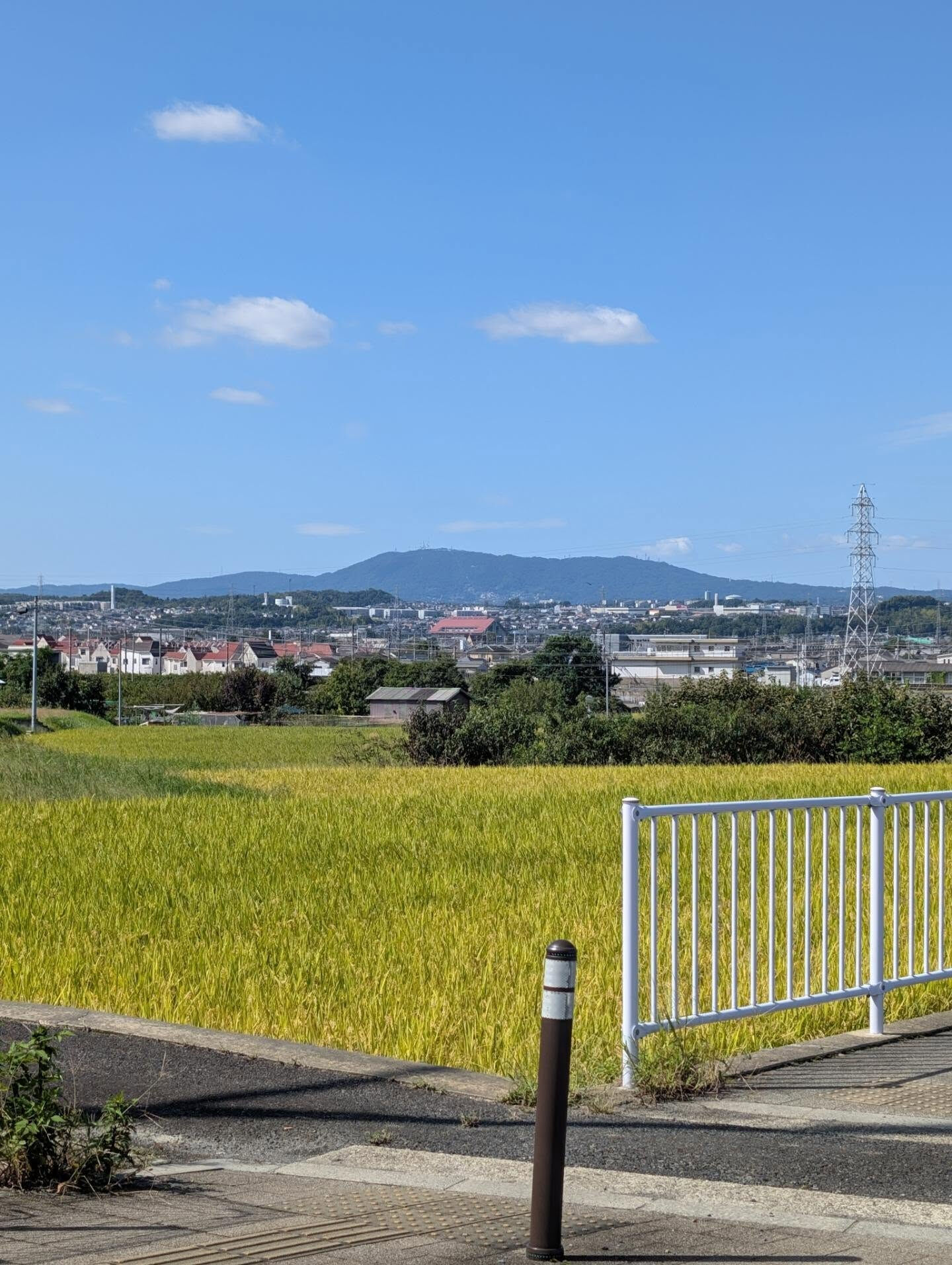 木津川市　実りの季節