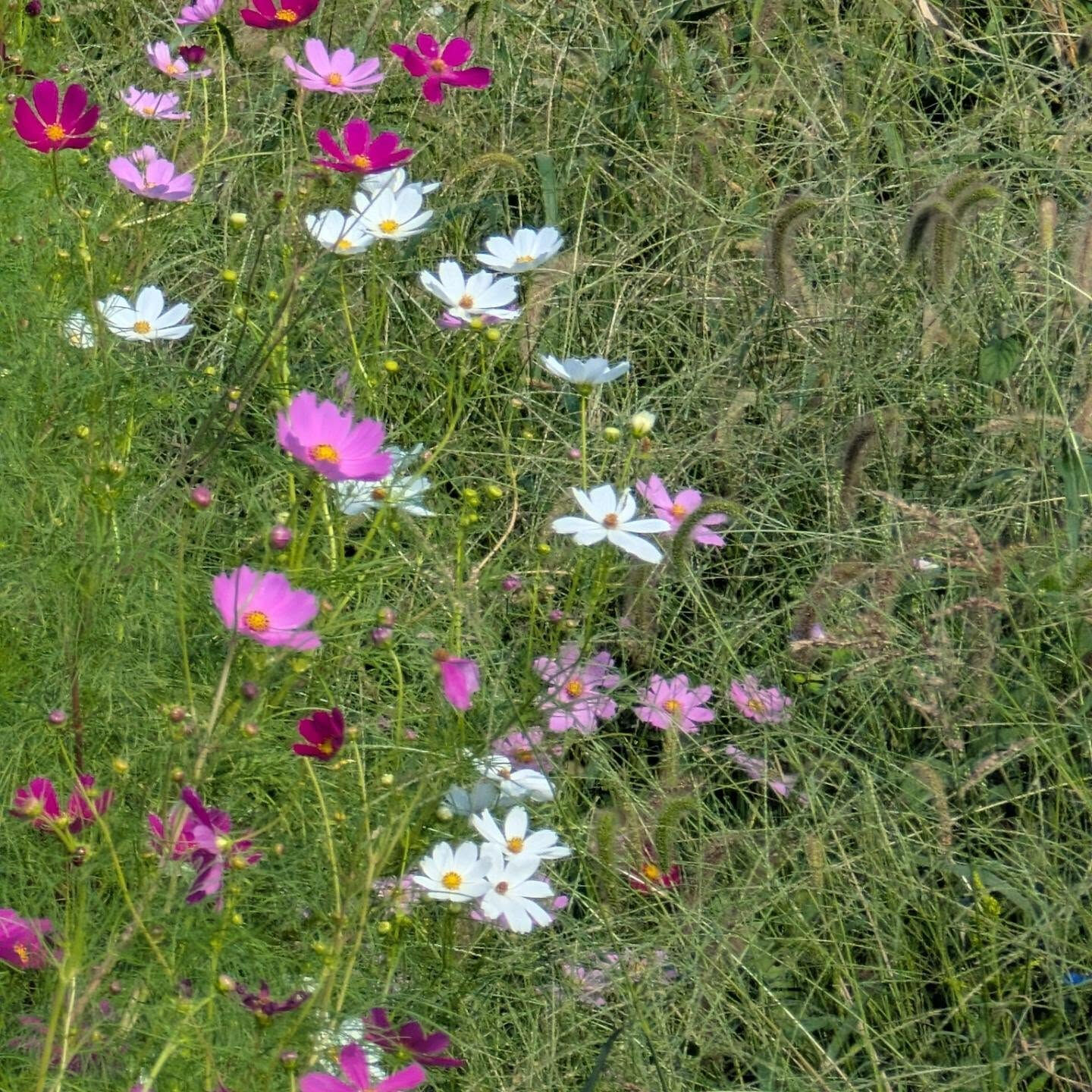10月に入って　秋らしくなりましたね