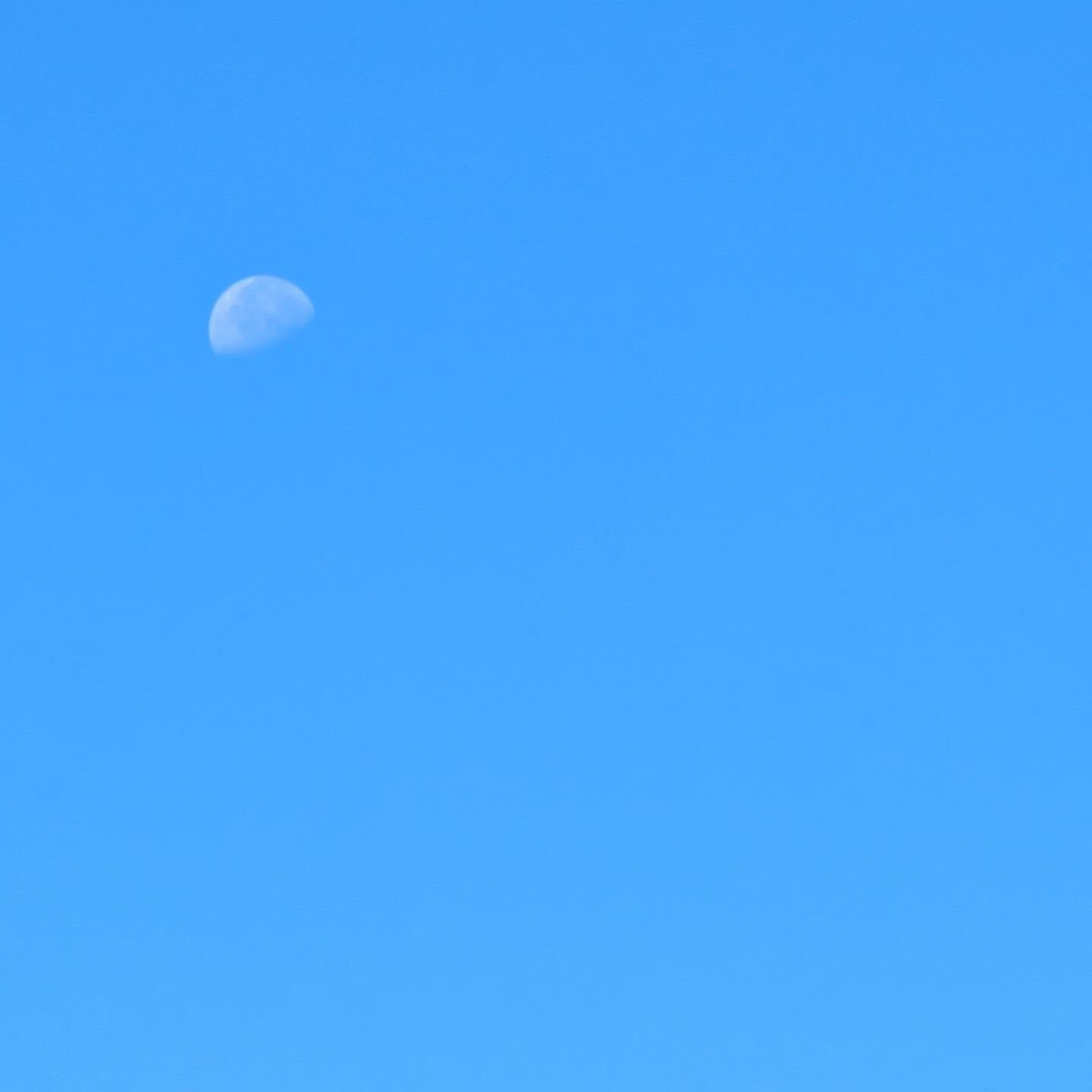 10月に入って　秋らしくなりましたね